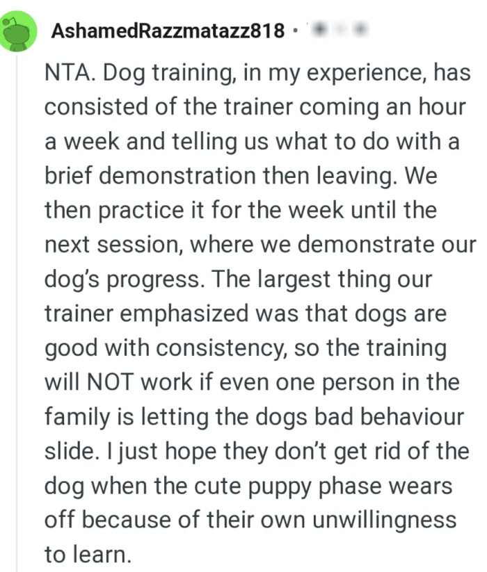 Dogs are good with consistency