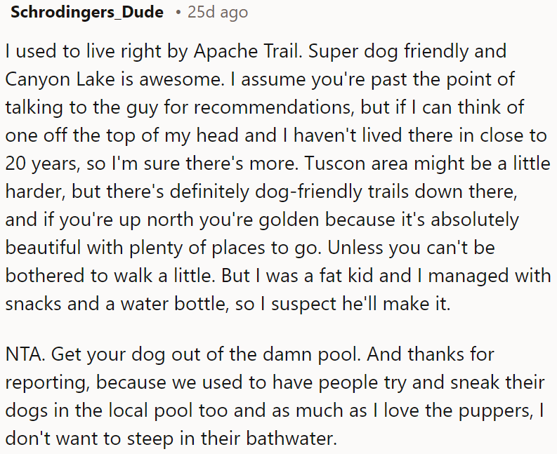 It's essential to keep dogs out of public pools, as much as we love them.