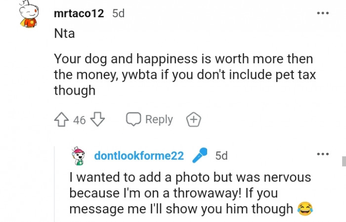 12. Your dog and happiness are worth more