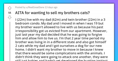 Man Threatens To Sell Twin Brother's Cats If He Doesn't Start Taking Better Care Of Them