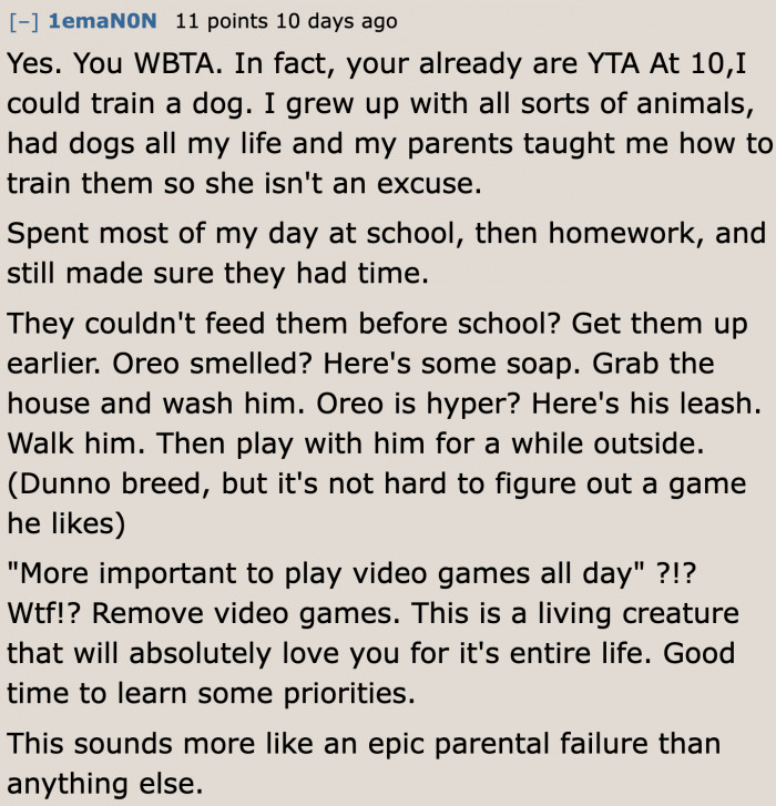 It's the parent who teaches the children how to be a proper pet owner.