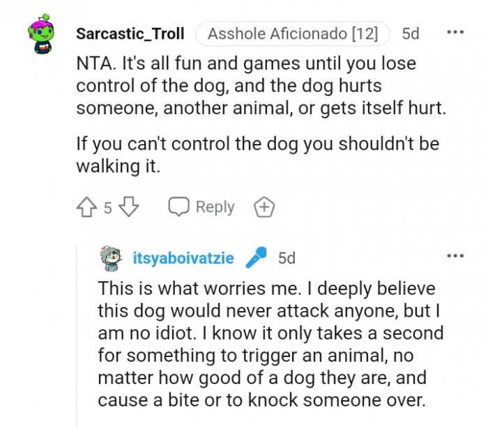 It's all fun and games until you lose control of your dog