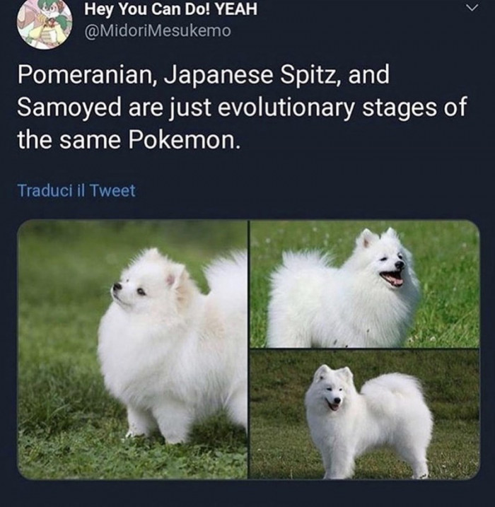 5. Gotta Catch 'Em All!