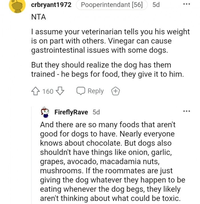 6. They Should Realize the Dog Has Trained Them