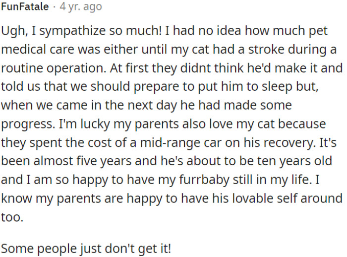 Not everyone comprehends the emotional bond with pets.