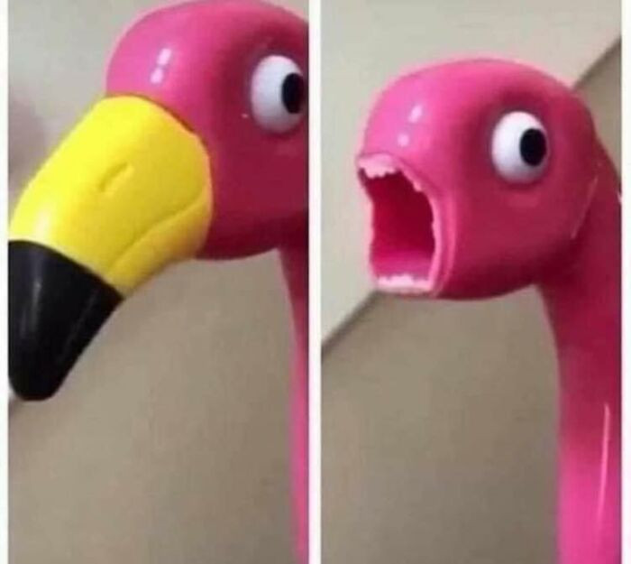 35. Call the ambulance!