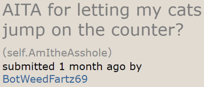 The original poster (OP) is a cat owner who lives with his girlfriend.