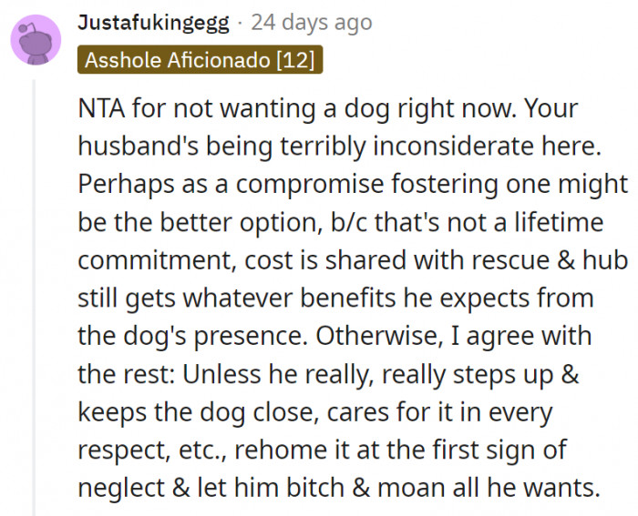 20. The husband needs to prove that he's truly going to step up before getting a permanent new dog