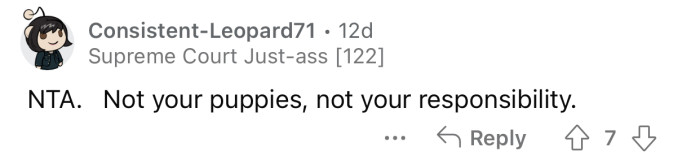 The puppies are the sister's responsibility, and she shouldn't dump that on someone else.