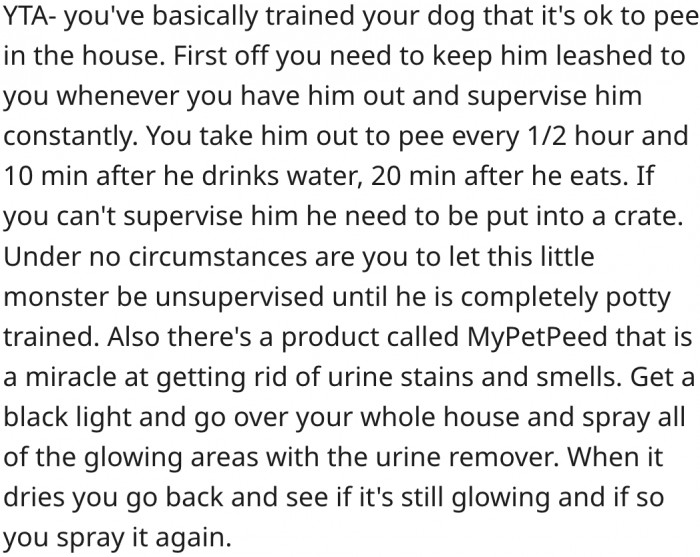 17. Her current training methods may be causing the dog to pee more often inside the house.
