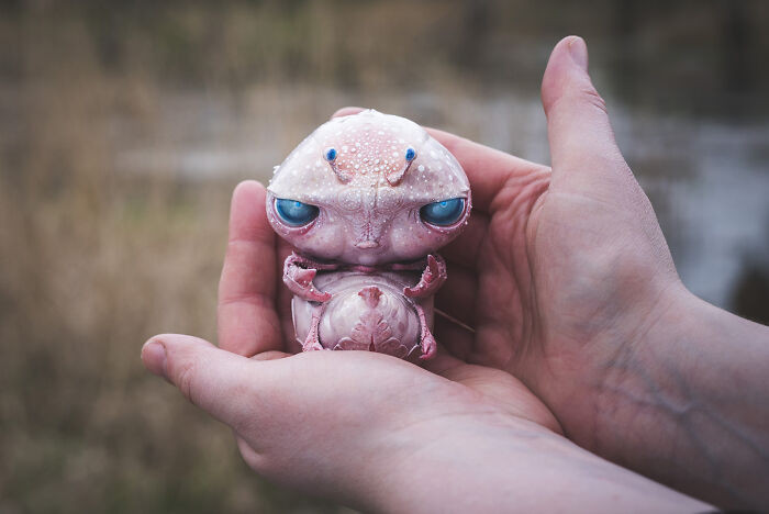 25. Here is an Alien Crab