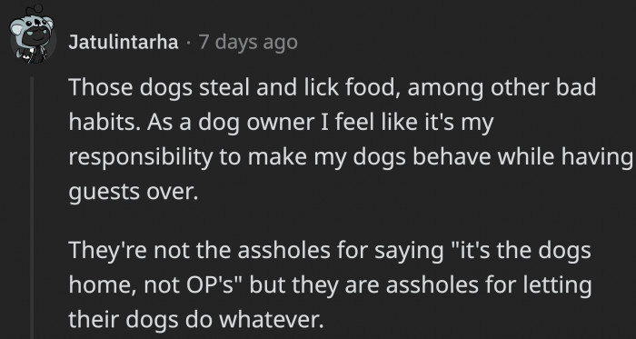 While the Couple Is Right That It's Also the Dogs' Home, OP Is a Guest Who They Disturb