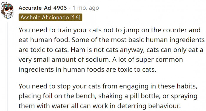 One Redditor advised him to train his cats...