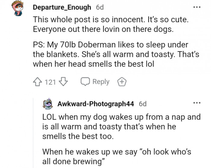 6. She is all warm and toasty