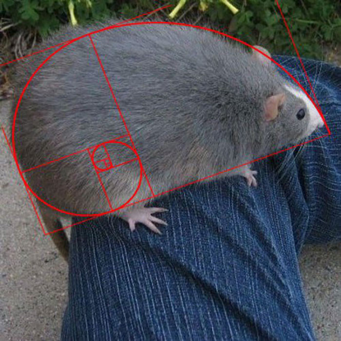 6. That is a mighty one