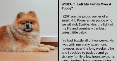 Woman Considers Shortening Her Stay With Her Family To Keep Her Dog Safe From Her Little Sister