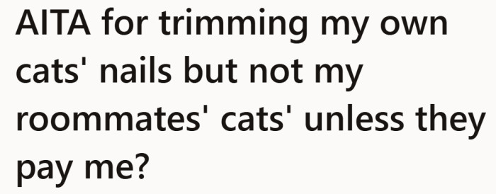 A simple grooming routine set the stage for an unexpected disagreement between roommates.