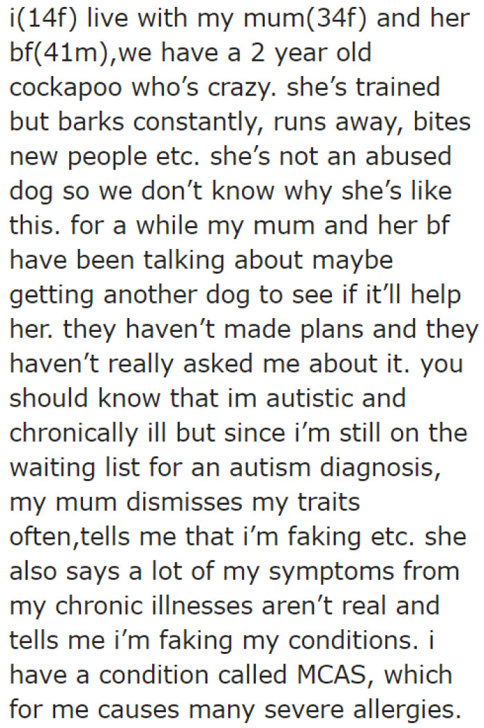 She explains why it's a bad idea to get another dog. Her pet Cockapoo is not good with other dogs.