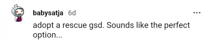 6. Sounds like the perfect option