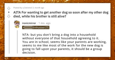 Redditor's Family Accuses Her Of Disrespecting Her Late Dog's Memory By Picking A New Dog Over His Littermate