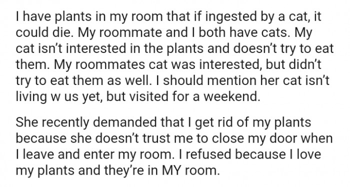 My cat isn’t interested in the plants