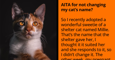 Lady Refuses To Change Her Cat's Name Because Her Cousin Wants The Name For Her Baby, Gets Called Selfish