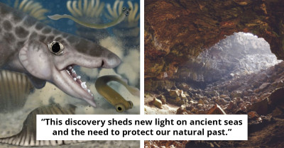 Scientists Discover Ancient Shark Hidden Beneath Kentucky
