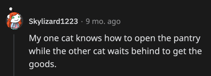 17. Cat knows how to play monopoly