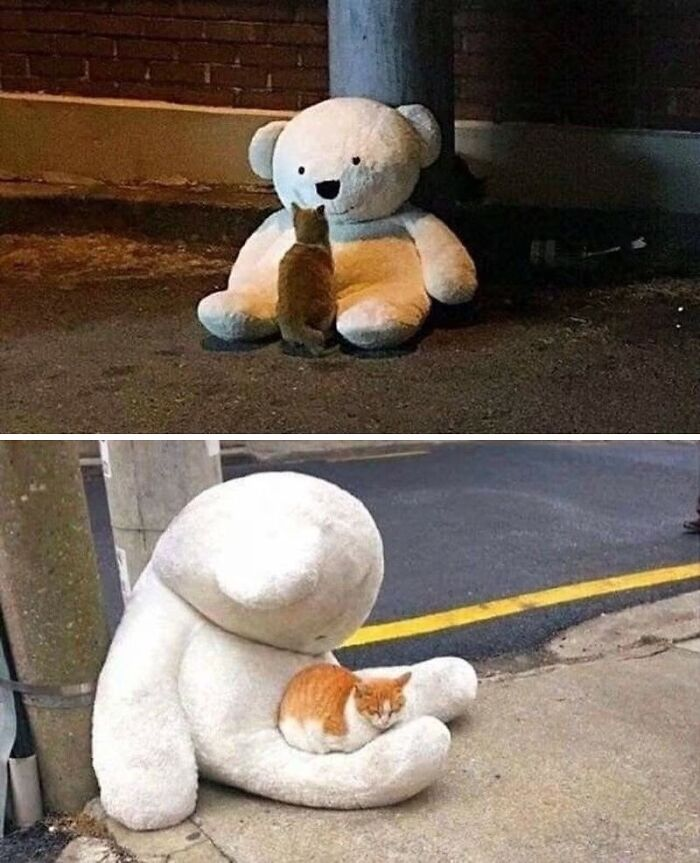 4. From strangers to soulmates in one night.