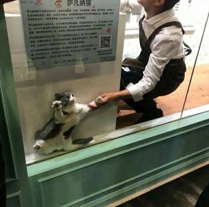 10. When 'Spy Mode' Goes Wrong