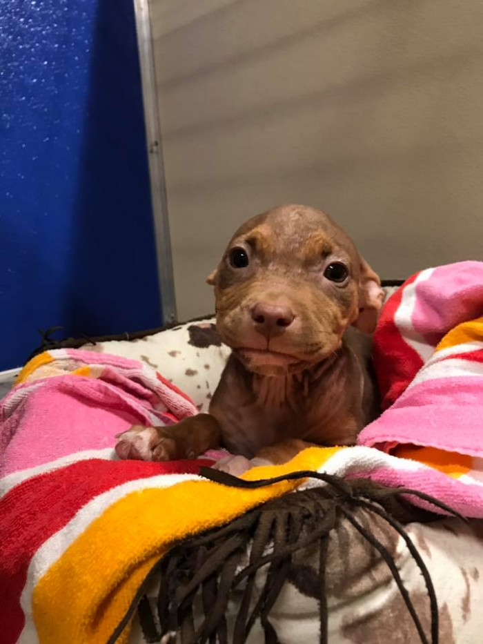 Matilda seems to have no memory of the past and is giddy with excitement at life