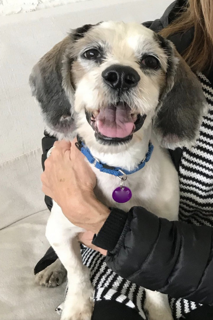 Sang Su eventually found a loving mom who will make sure he never goes through another traumatic experience. Just look at that smile!