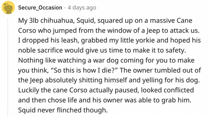 The owner tumbled out of the jeep