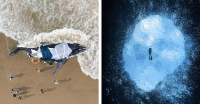 50 Stunning Shots From 'The Ocean Photographer Of The Year' Awards That Look Like Another Planet