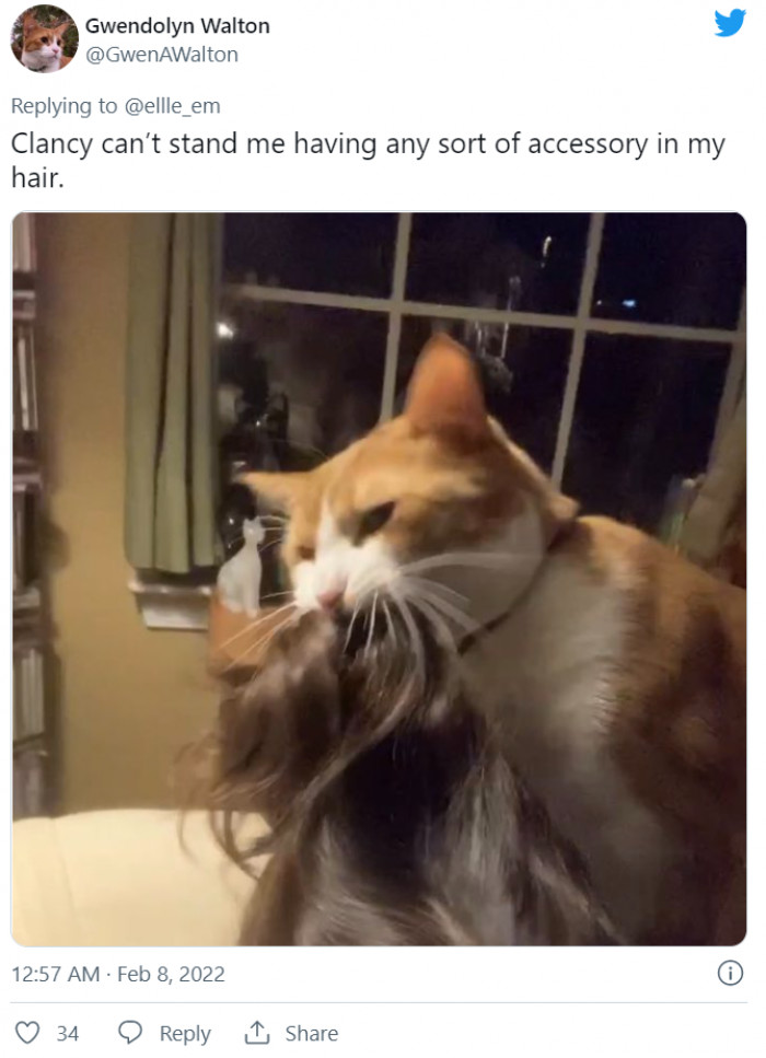 6. She's had enough of it.