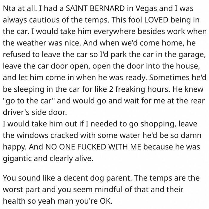 20. There's nothing wrong if the dogs love being in the car.