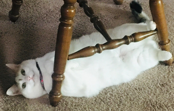9. “Wanted to share my mom’s cloudy loaf named Sourdough.”