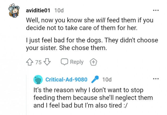 This Redditor just feels bad for the dogs