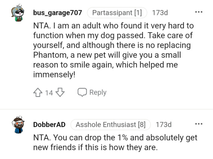 A new pet can give the OP a new reason to smile again