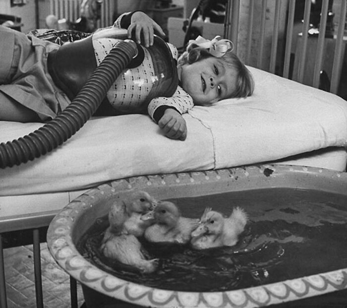 "Animal therapy for a young girl in the hospital, 1956."