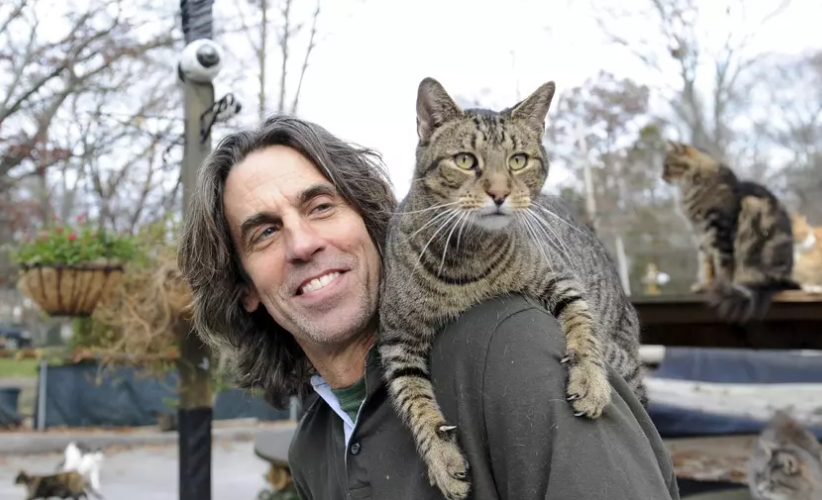 Chris Arsenault founded Happy Cat Sanctuary, caring for rescued cats at home.