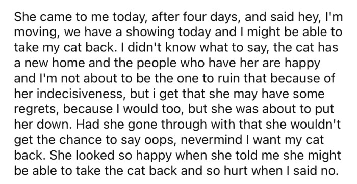 Four days later, OP's sister came to her and said she was moving and wanted to take the cat back.