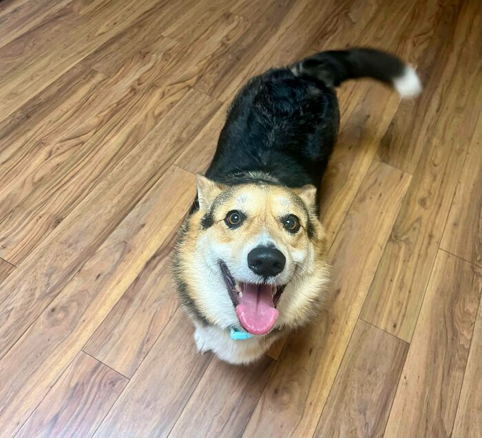 3. Look at that smile! So much joy from one little guy