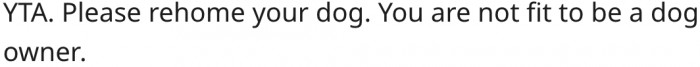 6. Rehoming the dog may be the best option.