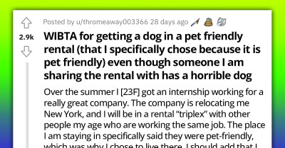 Housemates Unleash Fury on Lady After She Insists on Getting a Dog in Their Pet-Friendly Rental, Even After Finding Out That One of Them Has a Severe Dog Allergy