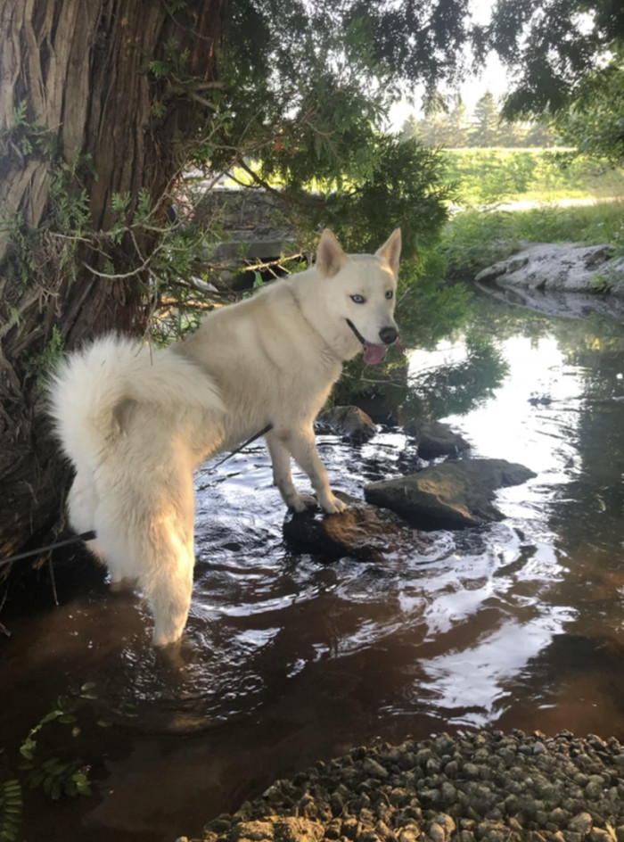 Caesar's in a better place now