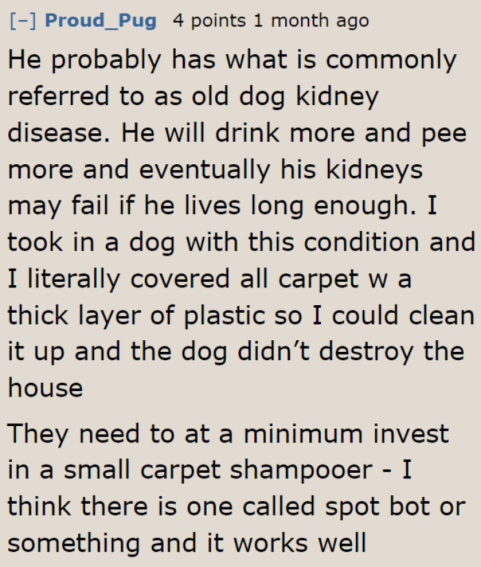 A Concerned Redditor Explains the Reason Behind the Dog's Health Problem.