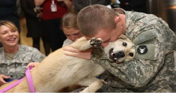 The bond between a dog and his human is extraordinary, marked by unwavering love and devotion