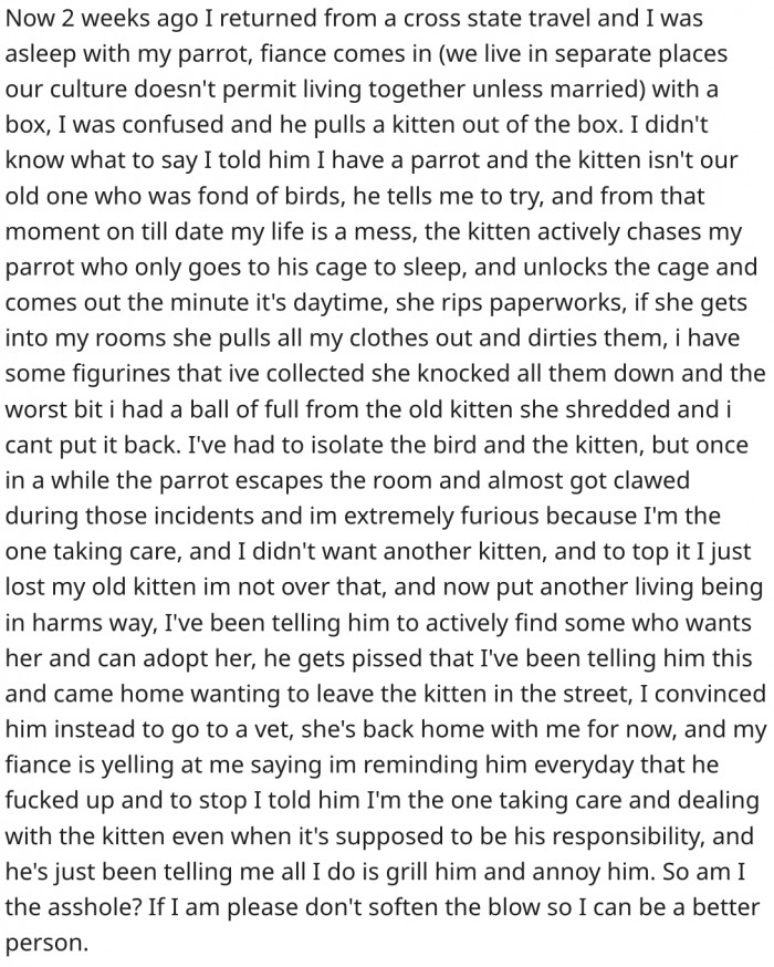 Her life is a mess since the cat arrived. Here's how Reddit responded.