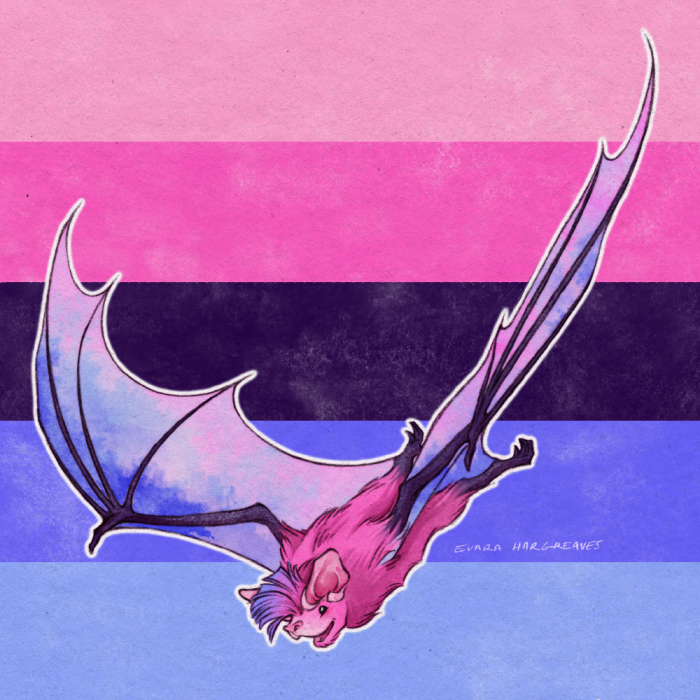 4. Chapin’s Free-Tailed bat as Omnisexual Pride